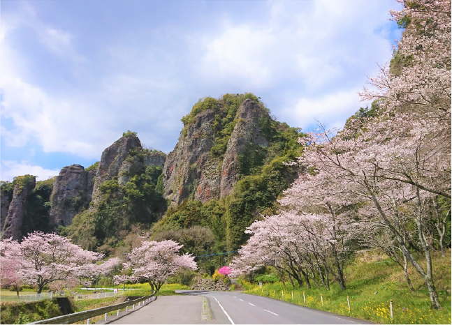 安心院周遊コース